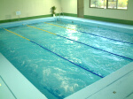 �T�u�v�[��