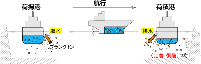 船舶バラスト水問題